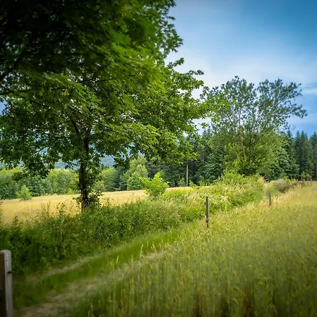 Ostoja W Gorach