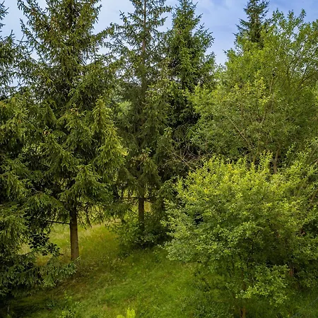 Ostoja W Gorach