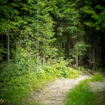 Ostoja W Gorach Проживание в семье