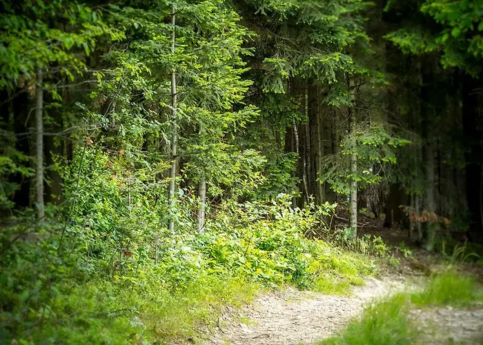 Ostoja W Gorach Ubytování v soukromí